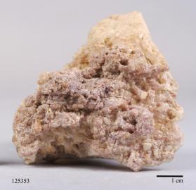 Cookeite