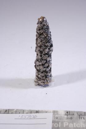 BRUCITE