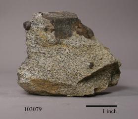 STAUROLITE with ALMANDINE