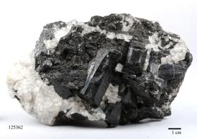 SCHORL