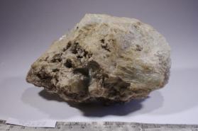 Lepidolite