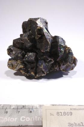 BARITE with Chalcopyrite and Dolomite and Galena and SPHALERITE