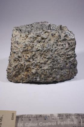 soimonite