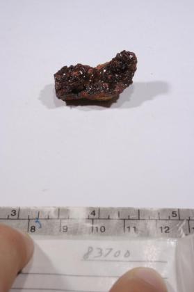 CASSITERITE