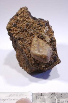 CASSITERITE