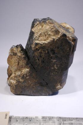 Columbite-(Fe)