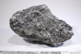 Enargite