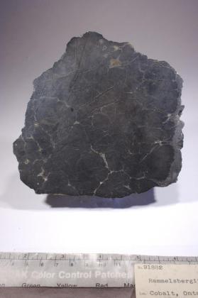 Pararammelsbergite