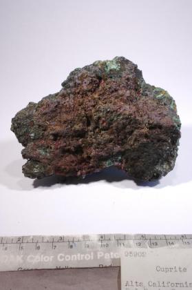 chalcotrichite with MALACHITE