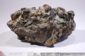 Muscovite