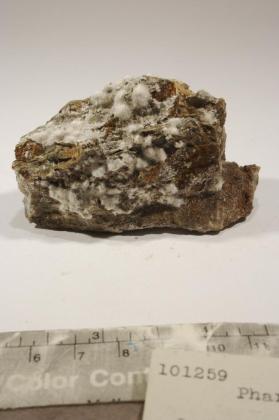 Pharmacolite