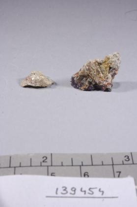 Tainiolite