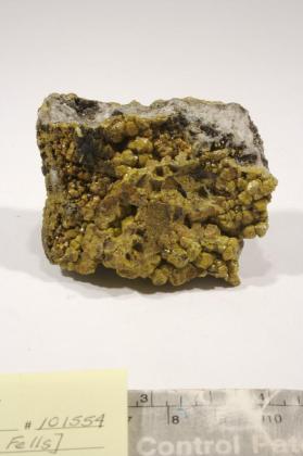 campylite