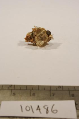 FLUORAPATITE