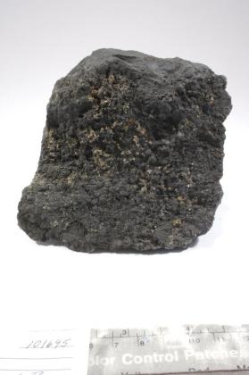 atopite