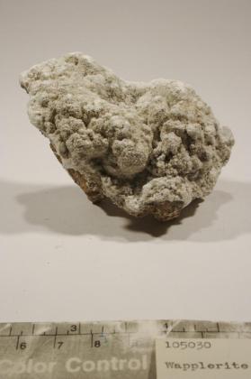 wapplerite