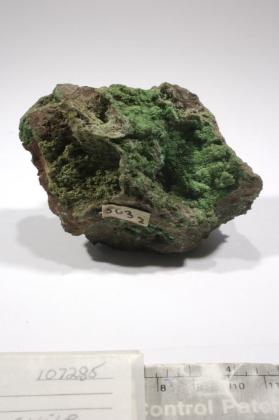 Adamite