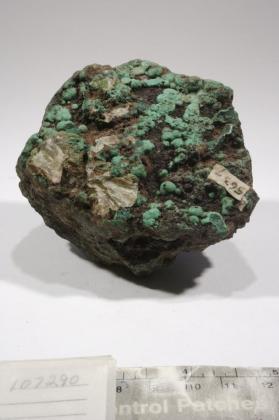 Adamite