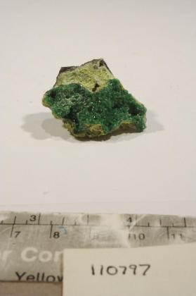 cuproadamite