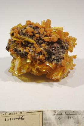 Wulfenite