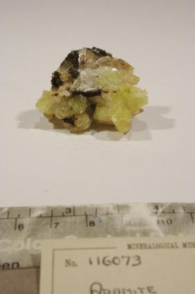 Adamite