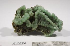 Adamite