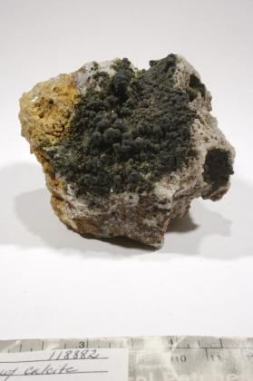 duftite-beta with CALCITE and Wulfenite