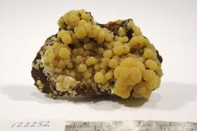 Mimetite