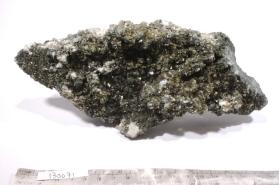 Muscovite