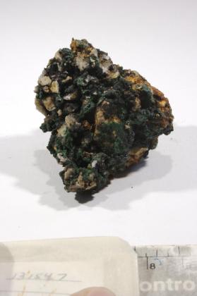 Bayldonite