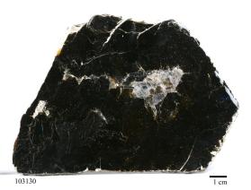 Biotite