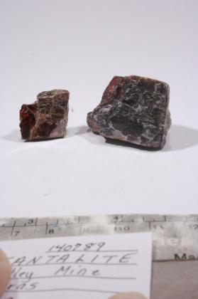 Tantalite-(Mn)