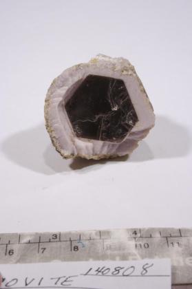 Muscovite