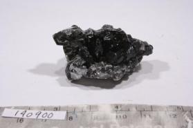 Muscovite