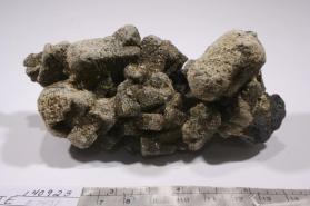 Muscovite