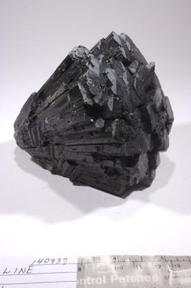 Tourmaline Group