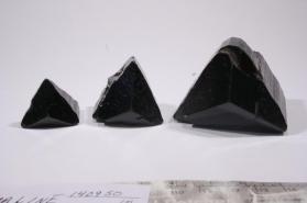 Tourmaline Group