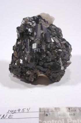 Tourmaline Group