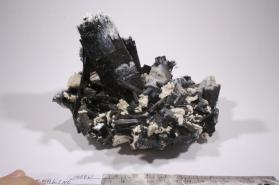 Tourmaline Group