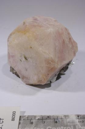 Morganite