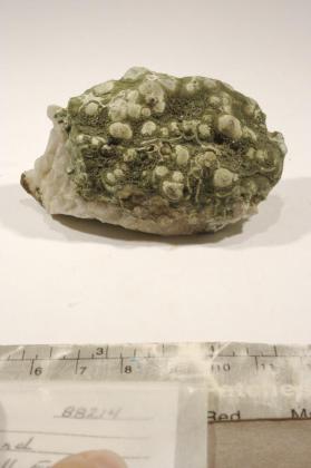 Olivenite