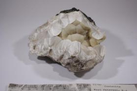 Pectolite