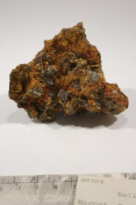 bellite with CERUSSITE and Galena and Goethite
