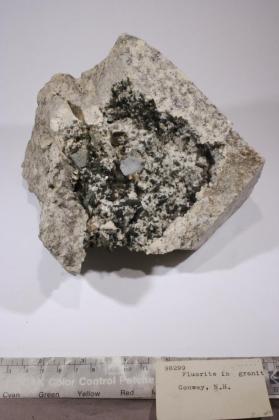 Biotite with MICROCLINE