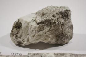 Ulexite