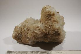 Colemanite