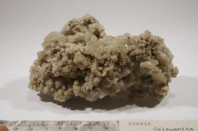 Colemanite
