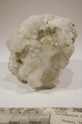 Colemanite