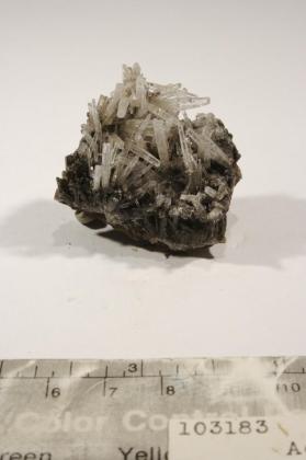 ARAGONITE