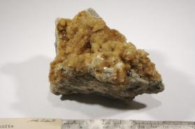 Colemanite